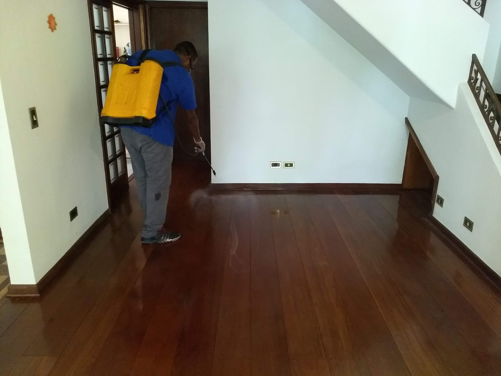 Aplicação de inseticida no piso de madeira da sala, dedetização residencial da GMs